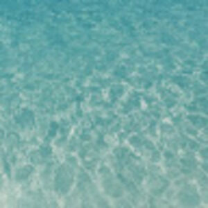 Meet your Posher, Juliana